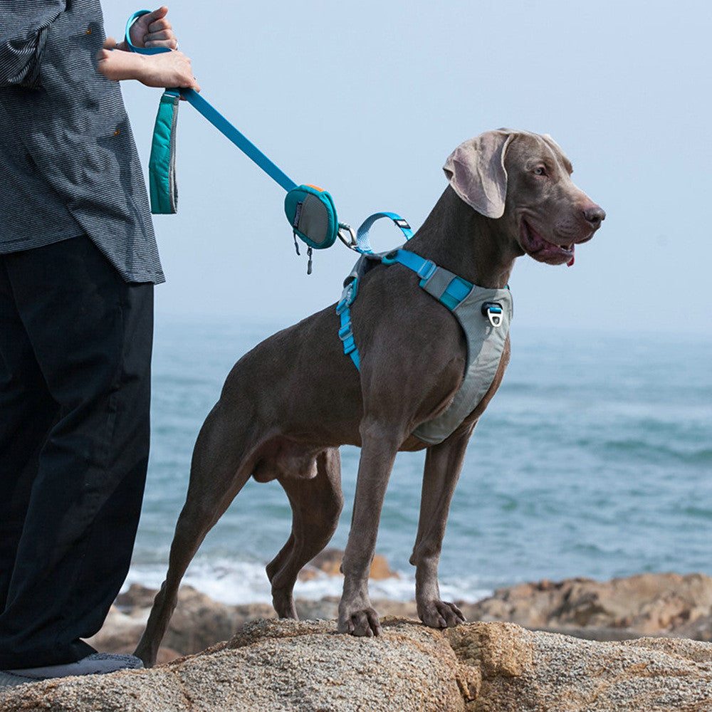 Heavy-Duty Pet Harness With Storage Bag